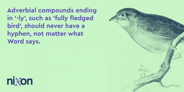 A text card with a bird illustration.